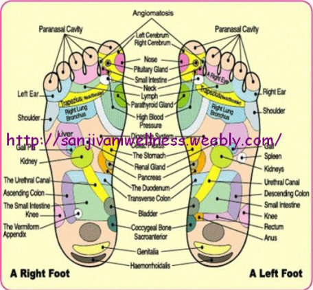 Foot Detox Pads Color Chart